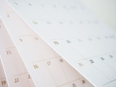 The Year In Review