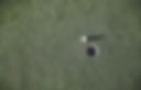 Balle de golf