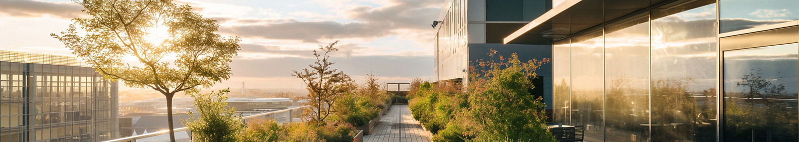Modern Rooftop Garden