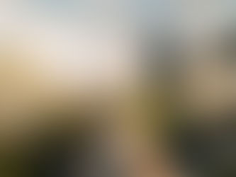 Chiswick Educational Facility Design: Trends, Sustainability, and Innovative School Architecture