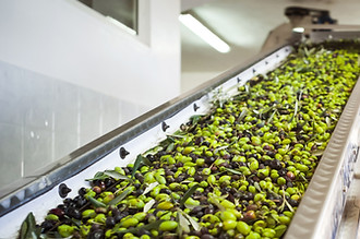 Molino de aceitunas