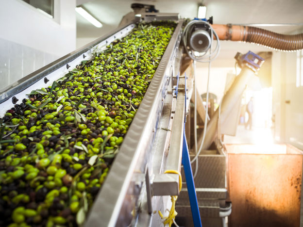 PRODUCTS - the taste of sunshine: how to bring the real Rhodes home with you