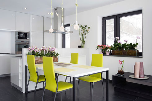 Contemporary kitchen interior