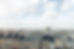 Ville de Paris