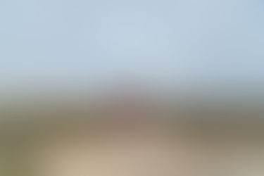 Woman practicing yoga in tree pose on a calm beach sunny day