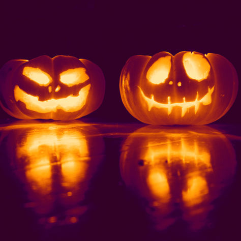 A Halloween Guide to Cannibalising Your Own Sales: Scare Away Profits with These Killer Tips!