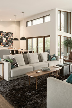 larje profesional divanesh