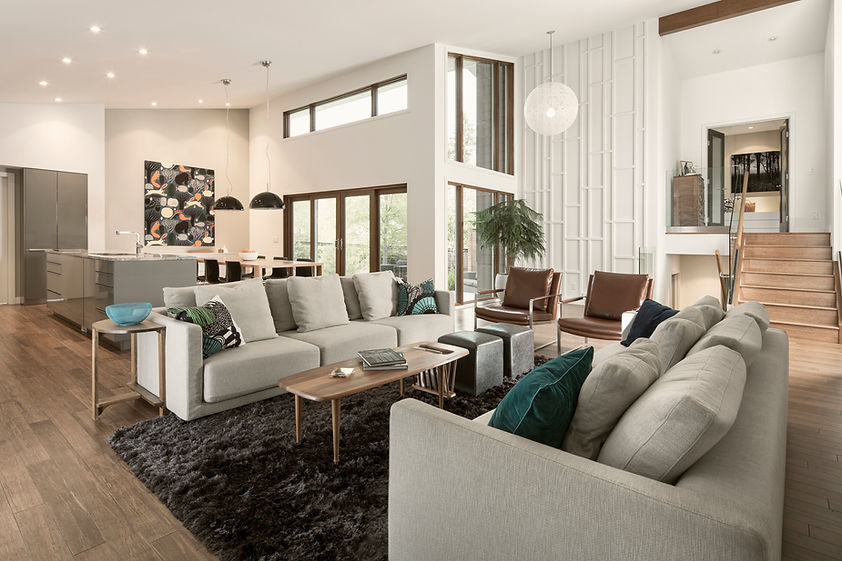 Modern Living Room