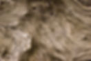 Textured Wooden Surface