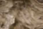 Textured Wooden Surface