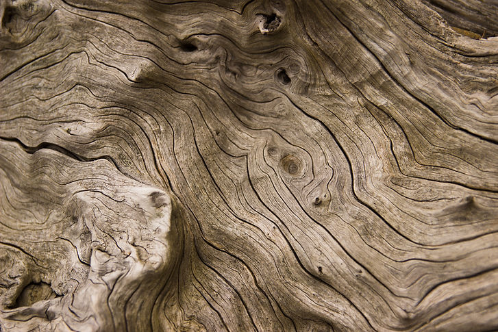 Weathered Wood Texture