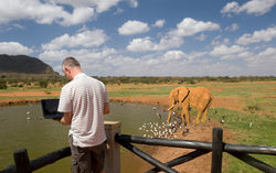 Safari Ranger