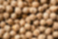 Chickpeas Close-Up