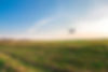 Agriculture Drone