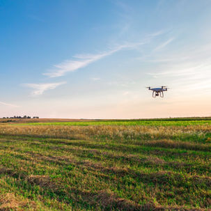 Más allá de lo urbano: el papel de las zonas rurales en el enfrentamiento de la crisis climática - parte 1