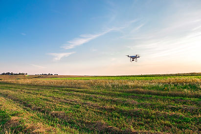Drone Over Field