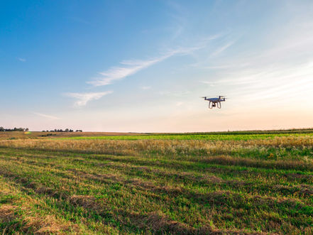 Drone Fertiliser Spreading South Burnett