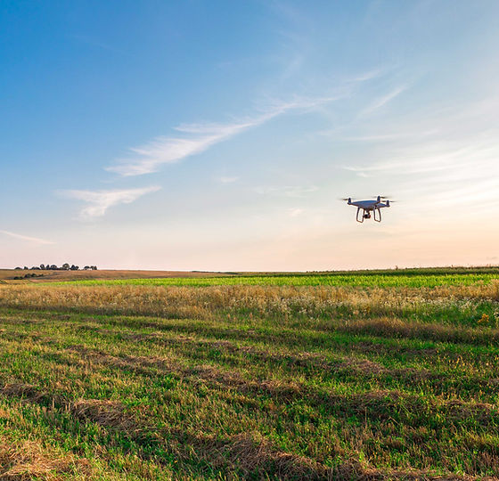 Drone agricolo