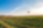 Agriculture Drone