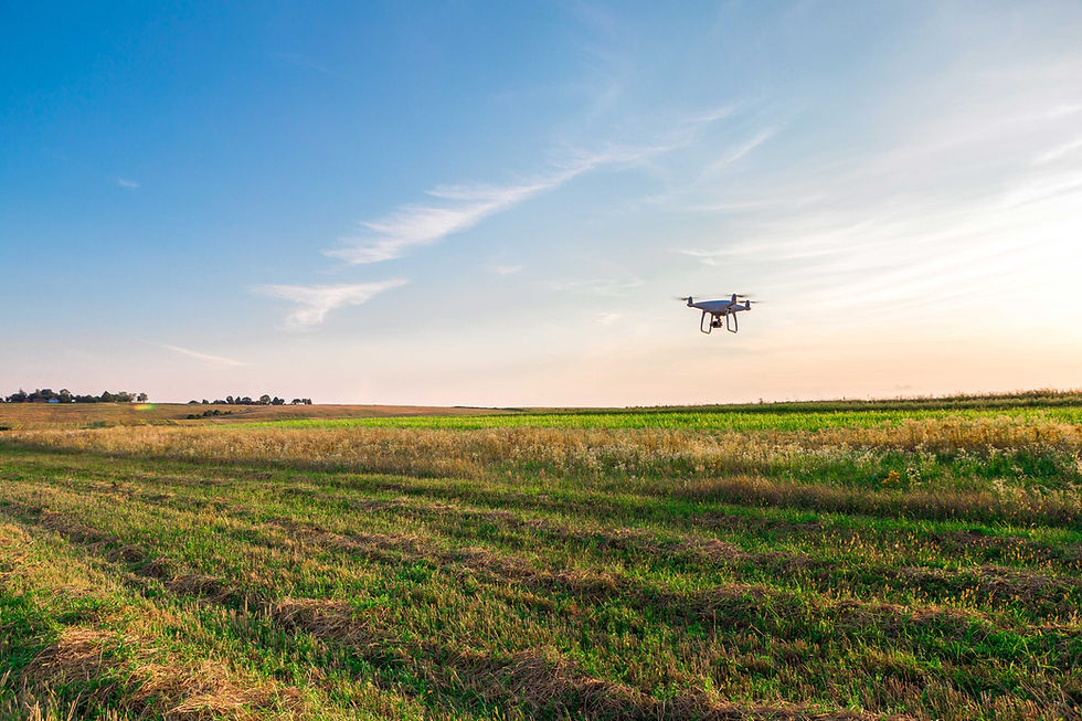 Drone Over Field
