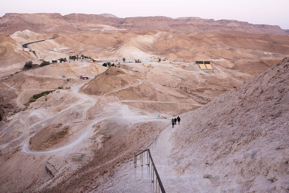 Desert Pathway View
