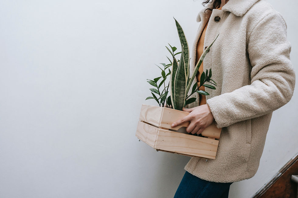 Mentoria Empreender com Plantas (On-line e Ao Vivo)