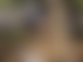 Você sabe o que é o envelhecer?