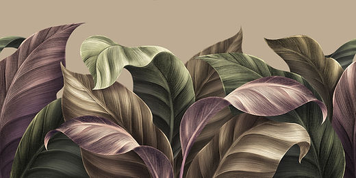 Abstract Tropical Leaves