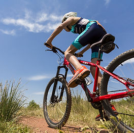 Bicicleta de montaña
