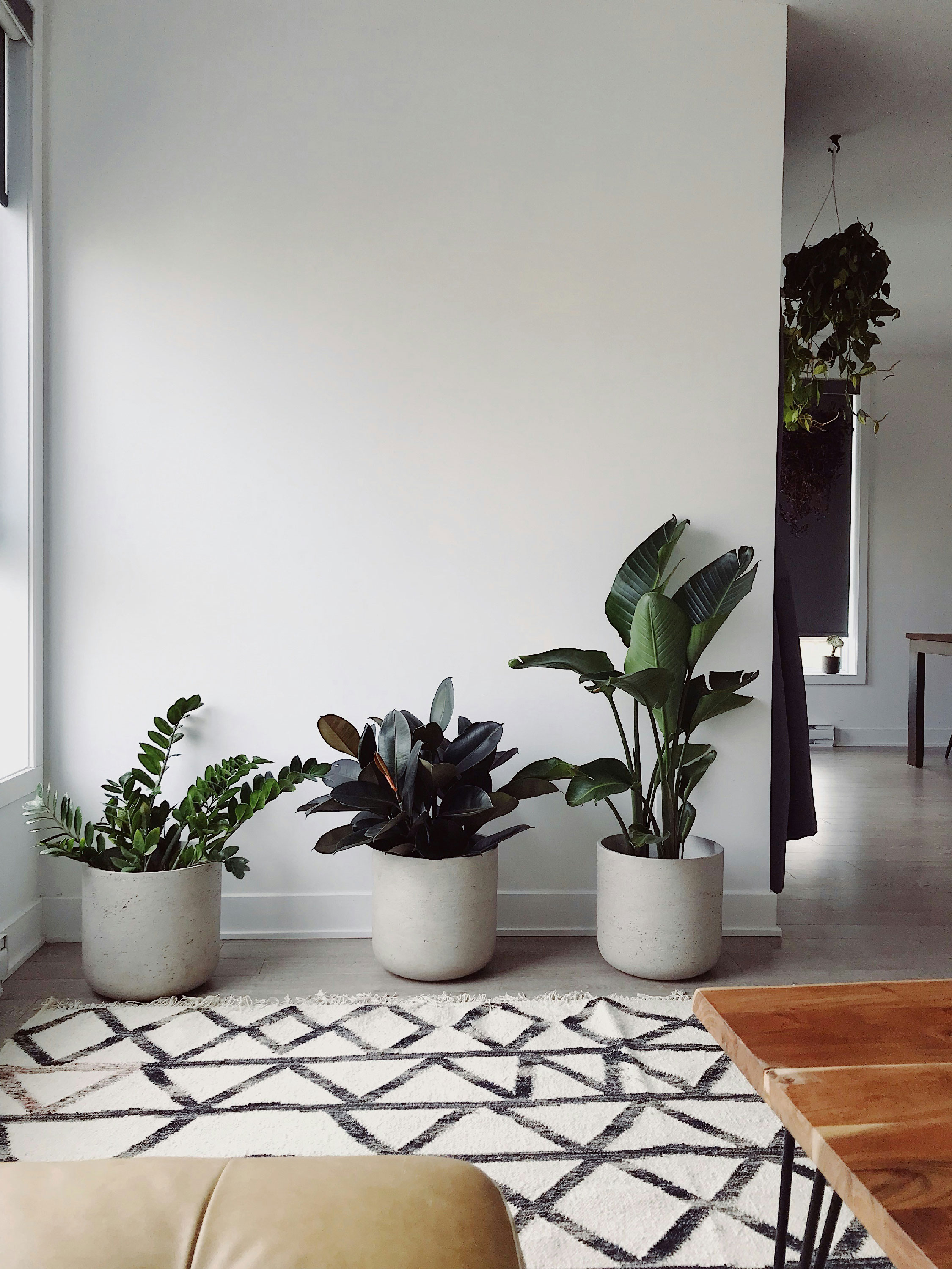 Display of plants