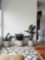 Modern Workspace with Decorative Plants