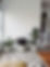 Modern Indoor Plants