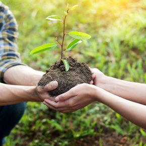 Custom eco-friendly promotional products, perfect for sustainable branding, corporate gifts, and green marketing campaigns for councils, nurseries, environmental organisations, farmers markets and agriculture