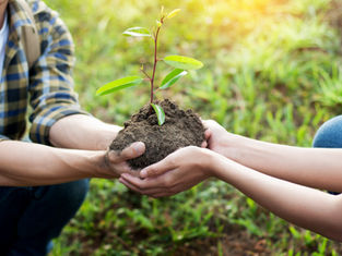 PLANTATIONS D'ARBRES PAR LES ENFANTS 03/12/2022