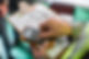 close-up image of a person's hand with clipboard and an electrical device