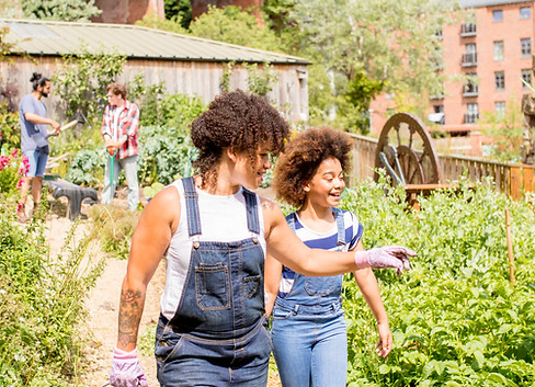 Community Garden Scene