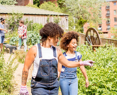 Community Garden Scene