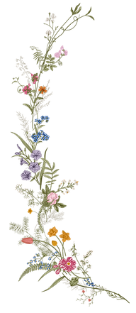 growth