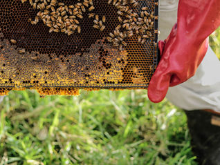 Thank You to Our Summer Program Sponsors!