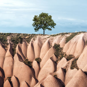 03-14 Dù Bị Chê Cười Và Nhạo Báng