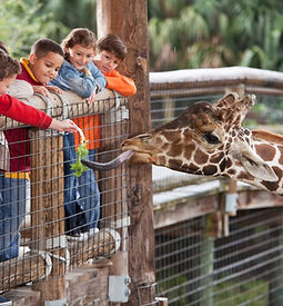 Family Visiting the Zoo