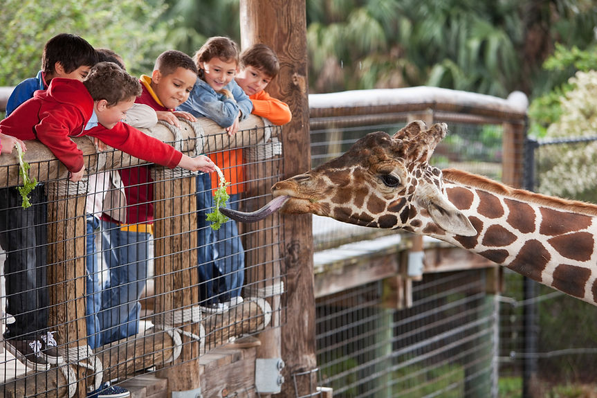 Family Visiting the Zoo