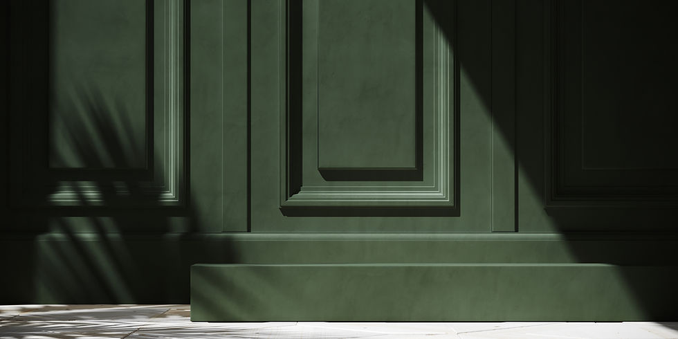 Tinteggiature professionali e decorazioni murali