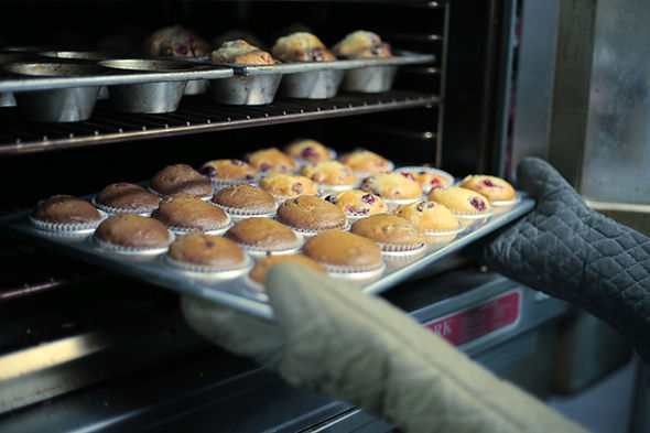 Blueberry Muffins