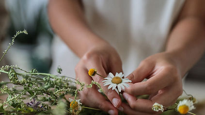 Arranging Wildflowers