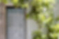 Grape Vine over Wooden Door