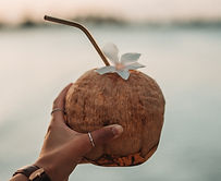 Coconut Drink