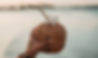 Coconut Drink
