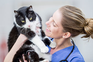 A Caucasian female veterinarian is indoors at a vet clinic