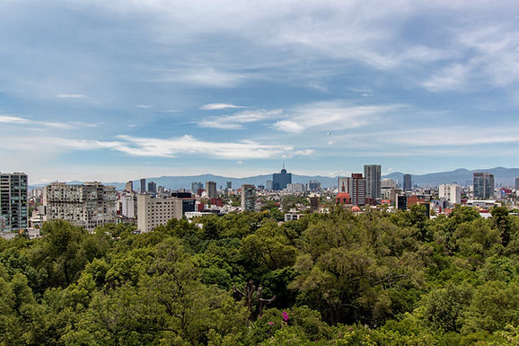 View from the Park